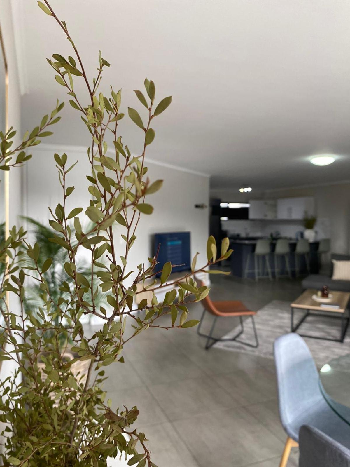 228 The Terraces Self-catering Apartment Cape Town